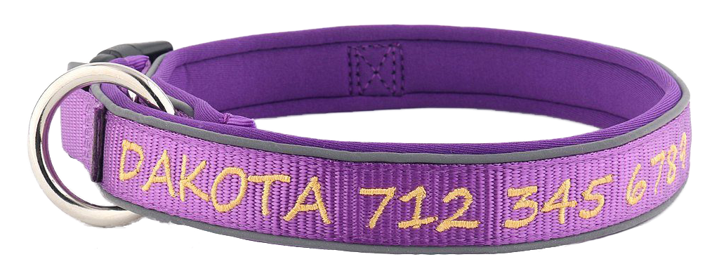 Purple with Gold Embroidery