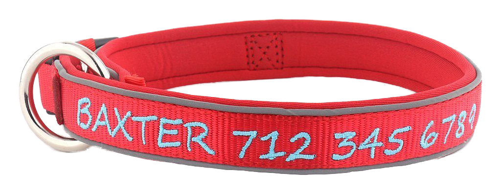 Red with Light Blue Embroidery