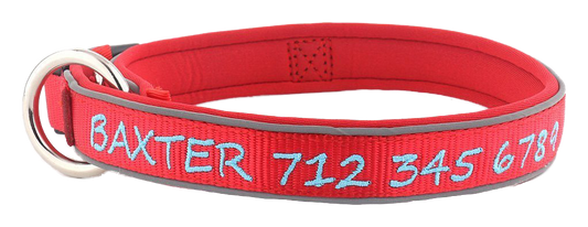 Red with Light Blue Embroidery