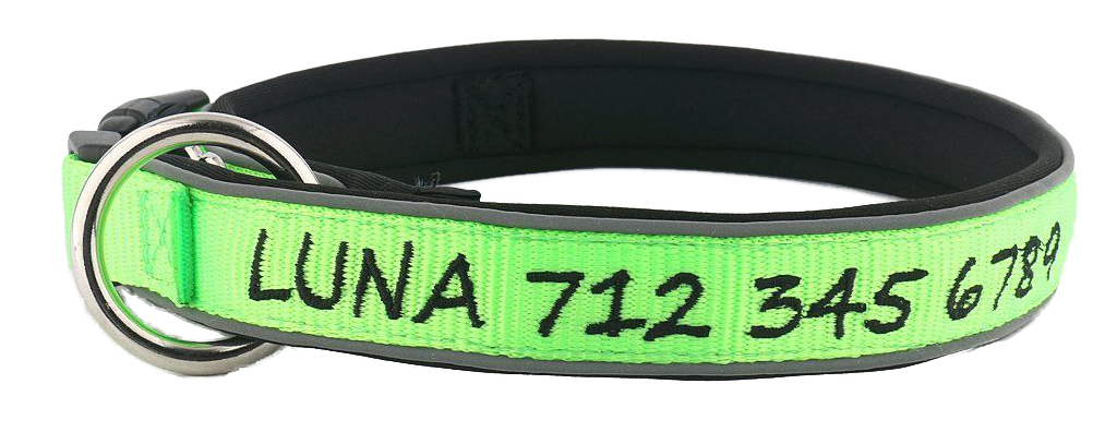 Fluro Green with Black Embroidery