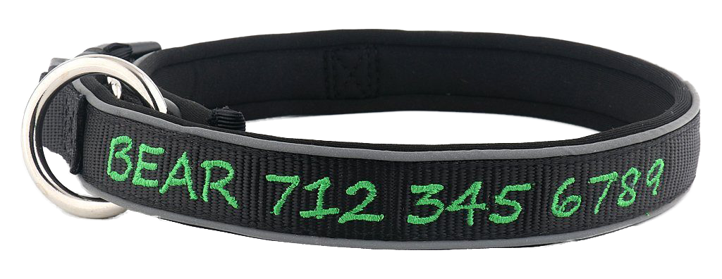 Black with Green Embroidery