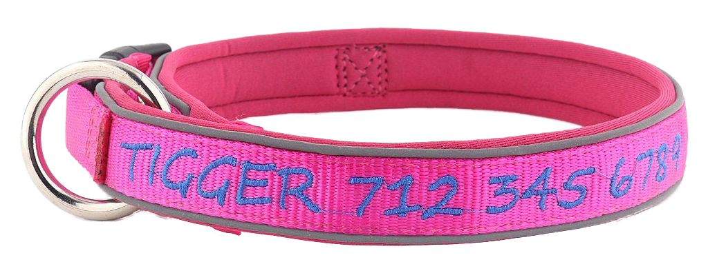 Pink with Blue Embroidery