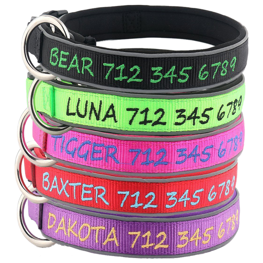 5 Collars