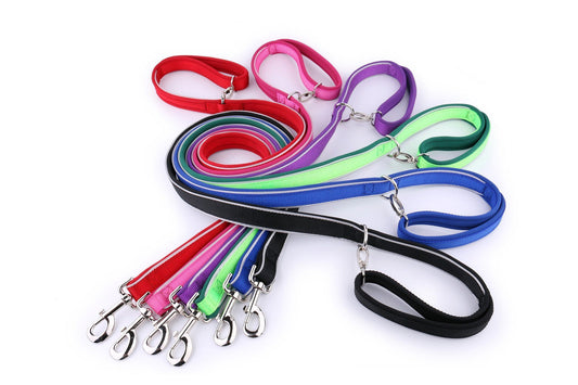 4 Leash